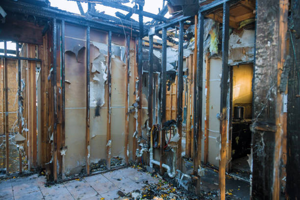 Professional Fire Damage Removal technician working in Mankato, MN